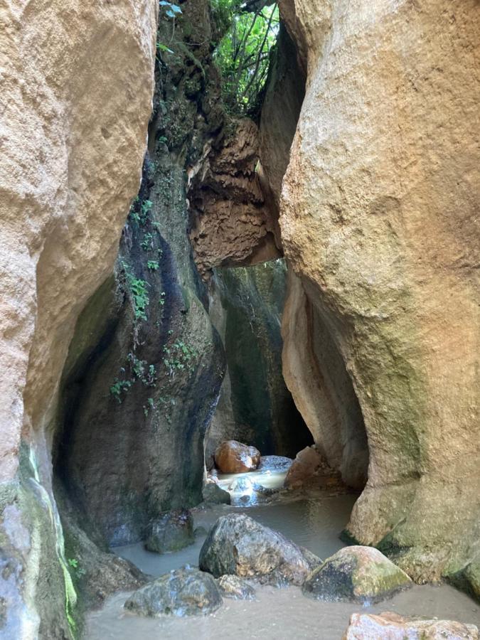 مبيت وإفطار Pinos del Valle Casa Limon المظهر الخارجي الصورة